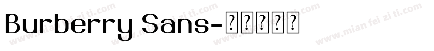 Burberry Sans字体转换
